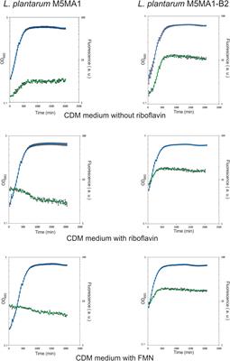 Real-Time Detection of Riboflavin Production by Lactobacillus plantarum Strains and Tracking of Their Gastrointestinal Survival and Functionality in vitro and in vivo Using mCherry Labeling